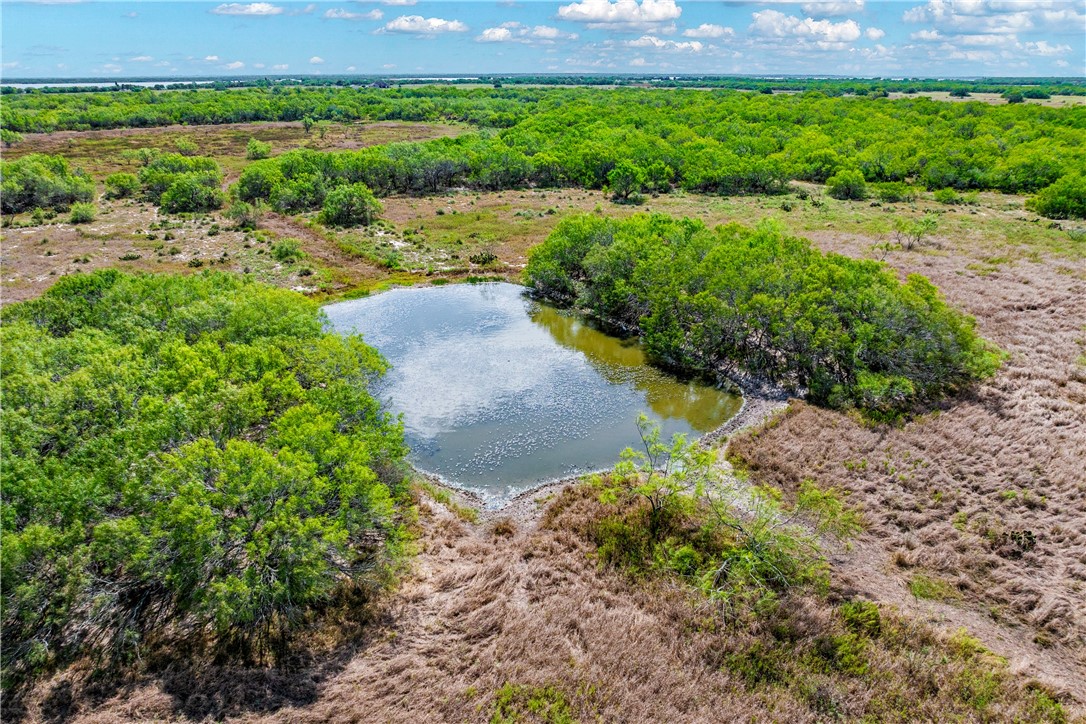0 Fm 771 Riviera, TX 78379 - Photo 12 of 27 a view of a garden with a lake