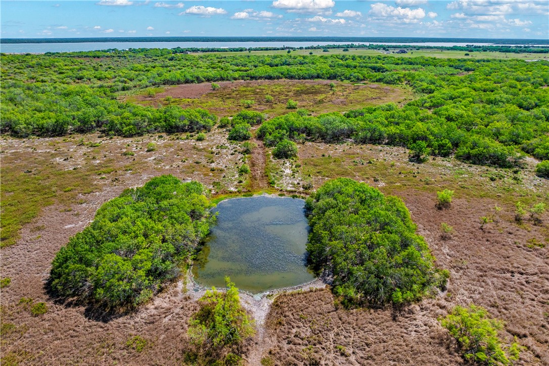 0 Fm 771 Riviera, TX 78379 - Photo 13 of 27 a view of a garden with a building in the background