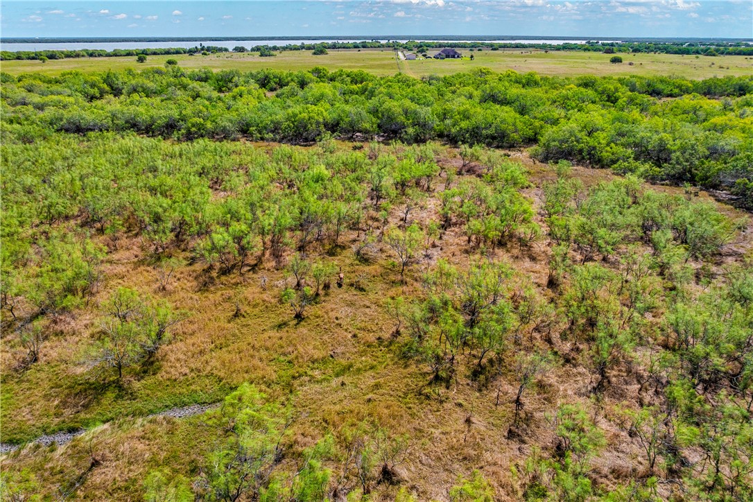 0 Fm 771 Riviera, TX 78379 - Photo 18 of 27 a view of a garden from a yard