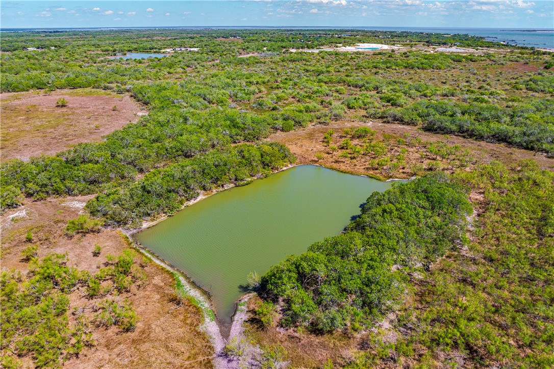 0 Fm 771 Riviera, TX 78379 - Photo 19 of 27 a view of a yard with an ocean