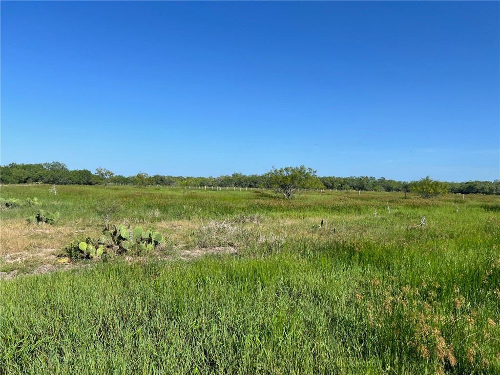 0 Fm 771 Riviera, TX 78379 - Photo 24 of 27 a view of lake with green space