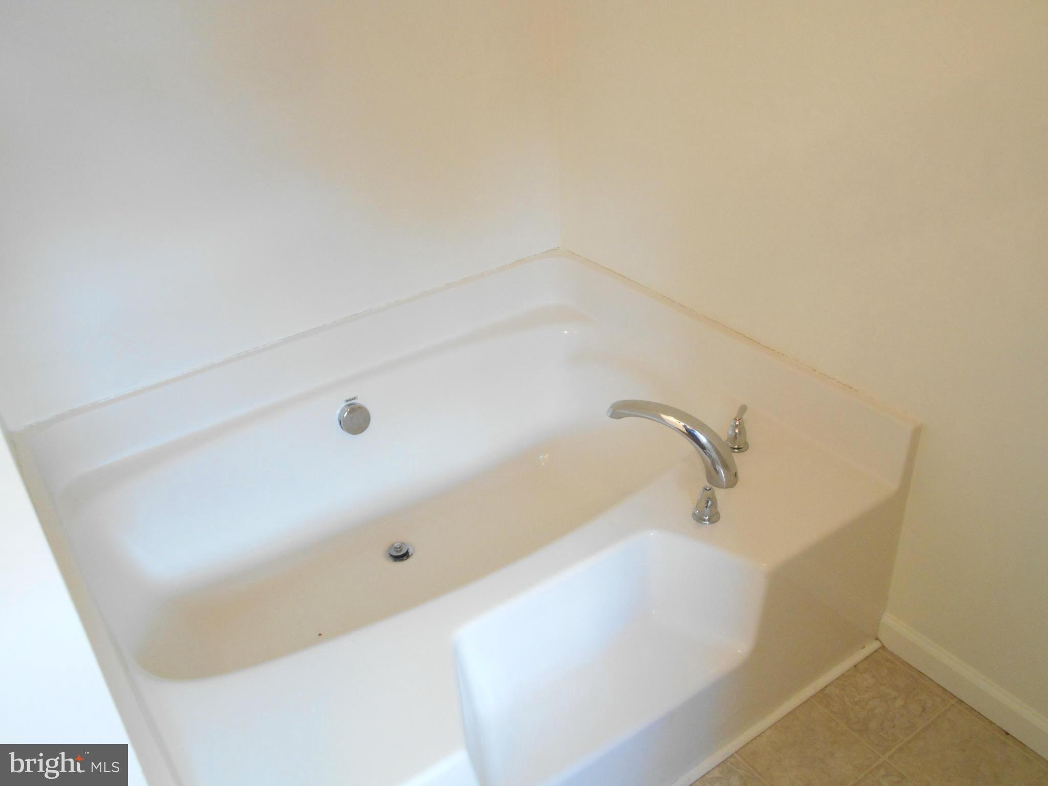 423 Fegan Road Bunker Hill, WV 25413 - Photo 4 of 7 Bath (Master)