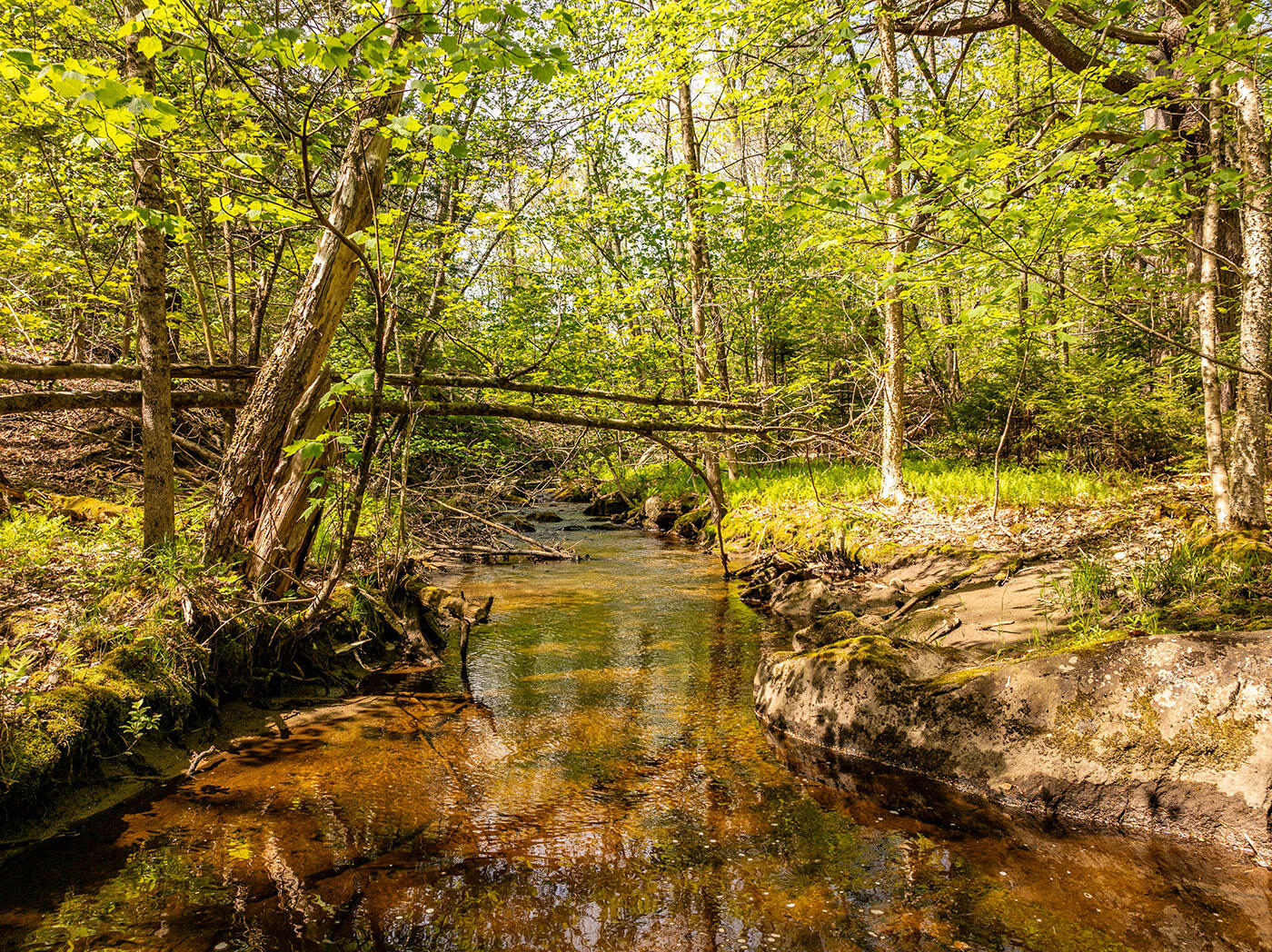 304 Beach Road Lincolnville, ME 04849 - Photo 42 of 43 DJI_0387