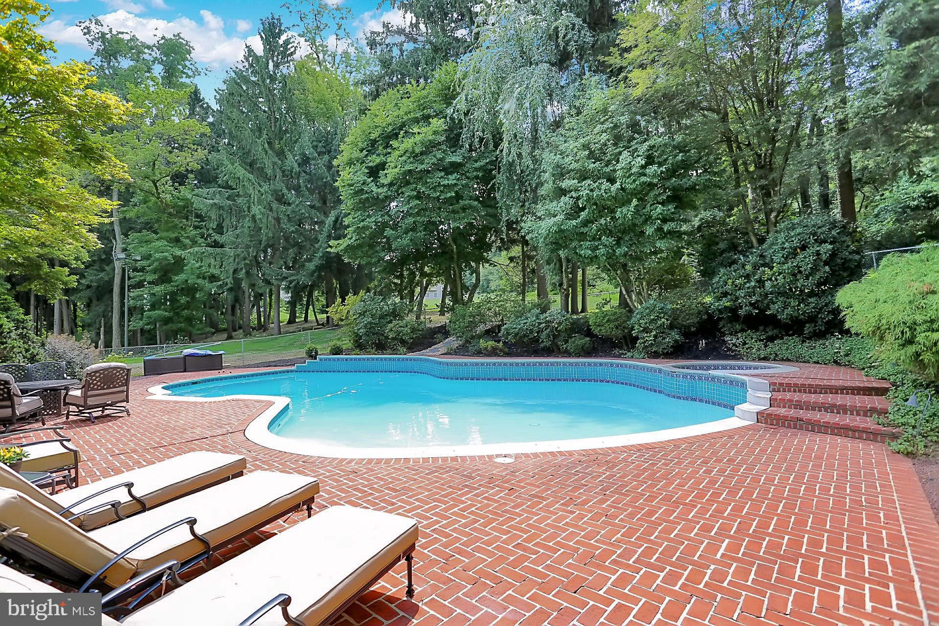 813 Old Fritztown Road Reading, PA 19608 - Photo 70 of 79 Pool