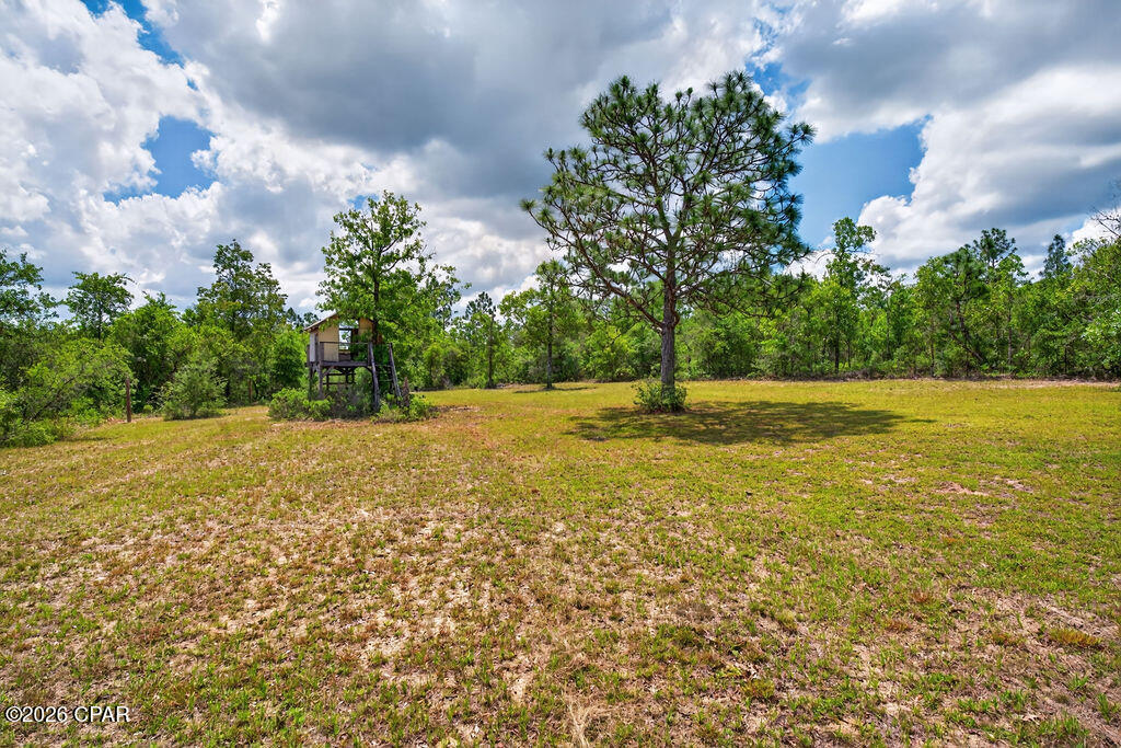 3385 Orange Hill Road Chipley, FL 32428 - Photo 49 of 68