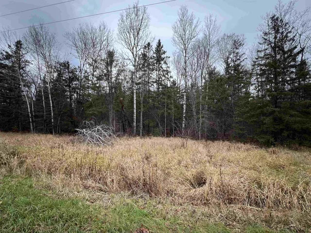 $77,000 | Tbd Town Line Road, Hibbing, MN 55746