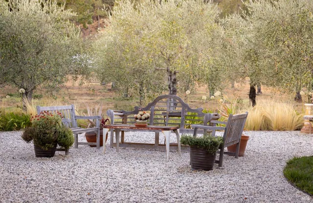 a view of outdoor space yard and patio