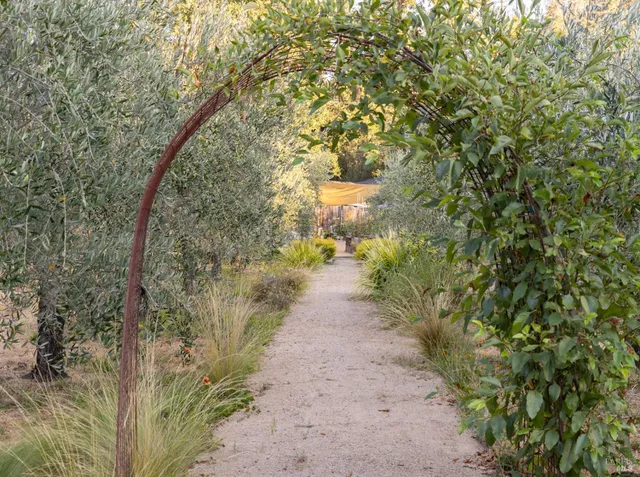 a view of a pathway with a tree