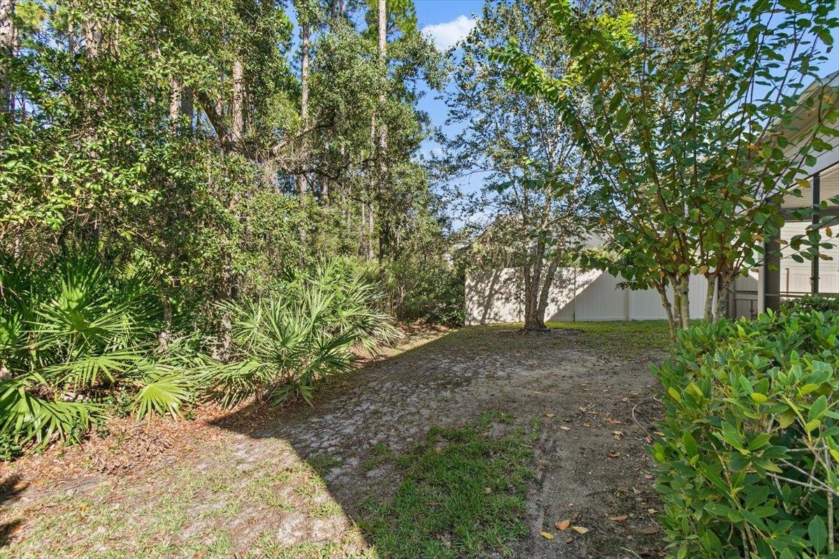 2996 Las Calinas Boulevard St. Augustine, FL 32095 - Photo 28 of 31 a view of a yard with plants and trees