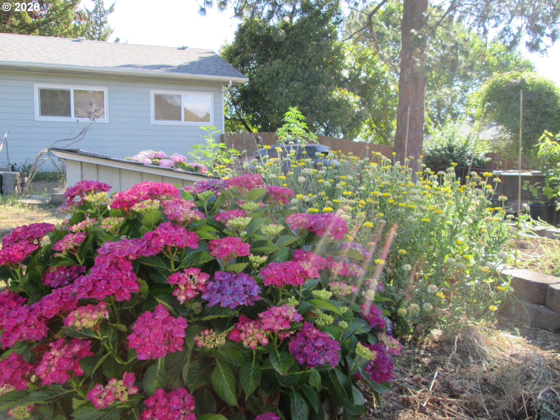 273 Crest Drive Myrtle Creek, OR 97457 - Photo 20 of 28 a view of a flower