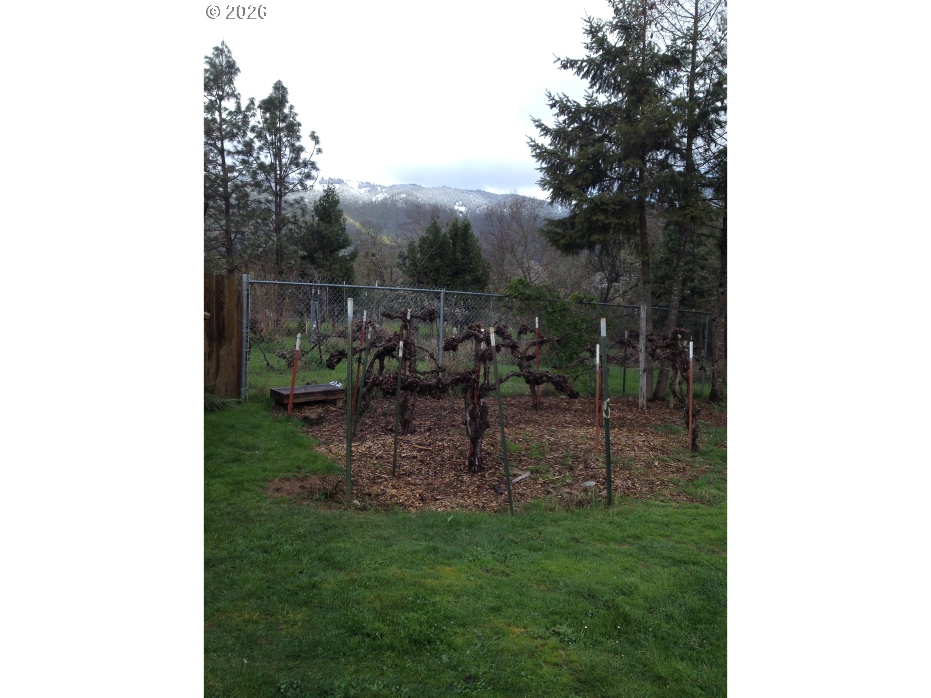 273 Crest Drive Myrtle Creek, OR 97457 - Photo 22 of 28 a view of a bench in a backyard