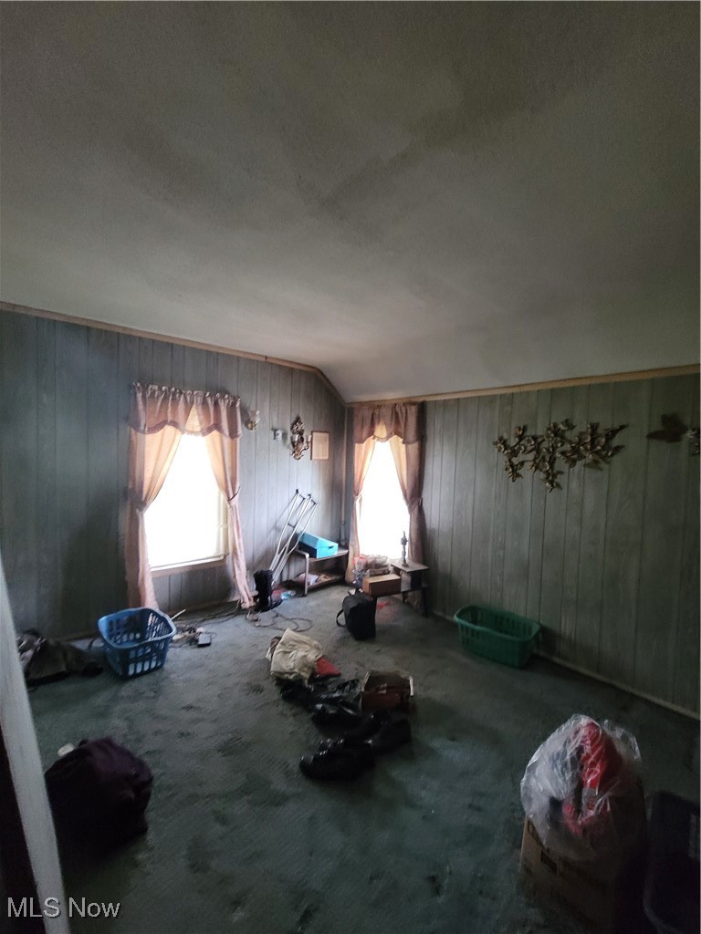 145 North Road Niles, OH 44446 - Photo 22 of 24 Unfurnished room featuring wood walls and carpet flooring