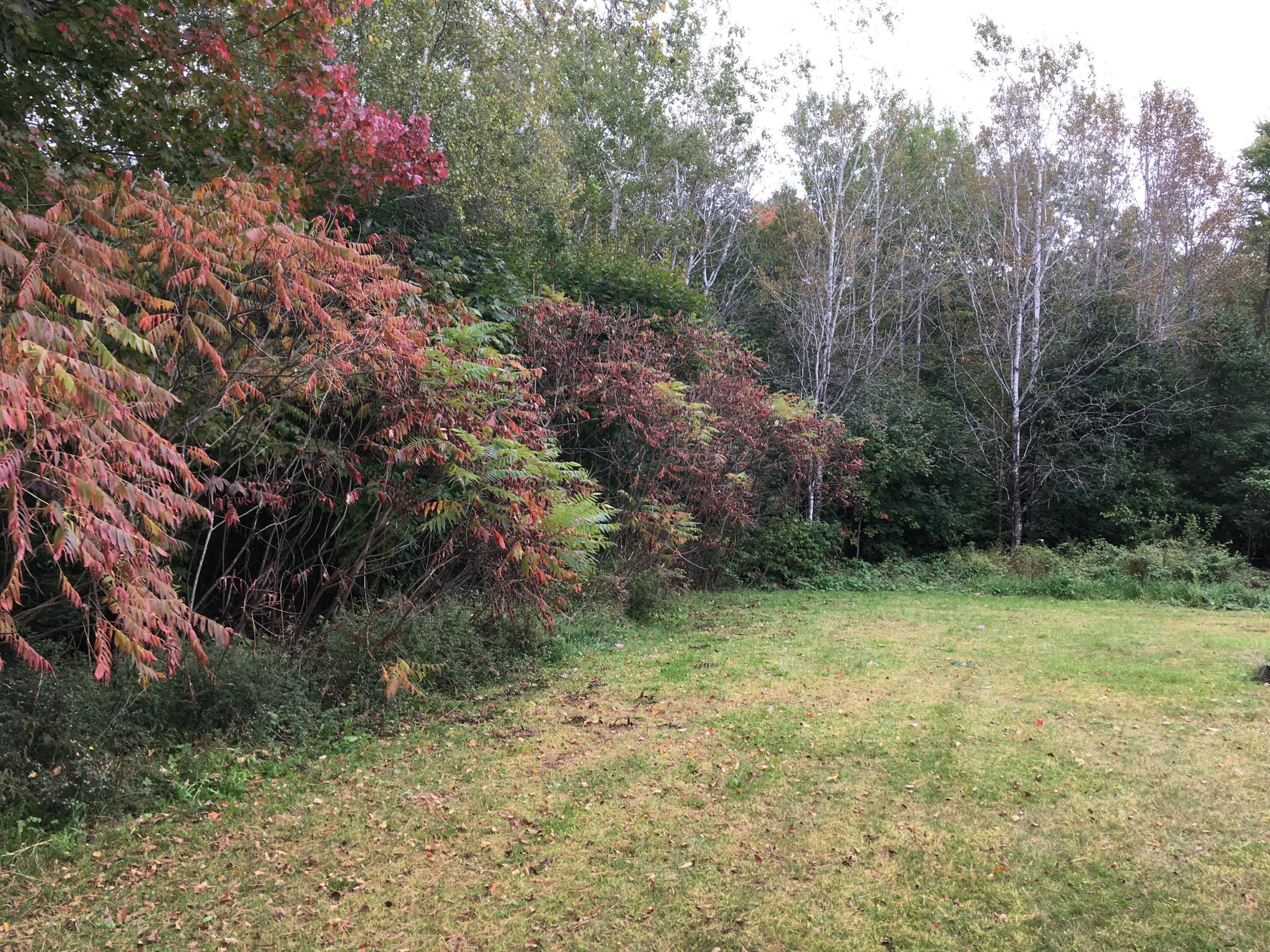 21 Merryman Road Glenburn, ME 04401 - Photo 7 of 25 IMG_5767