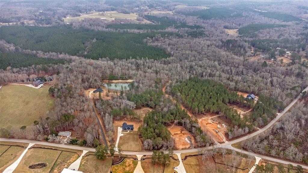 1488 Morgan Road Bremen, GA 30110 - Photo 6 of 7 a view of a city