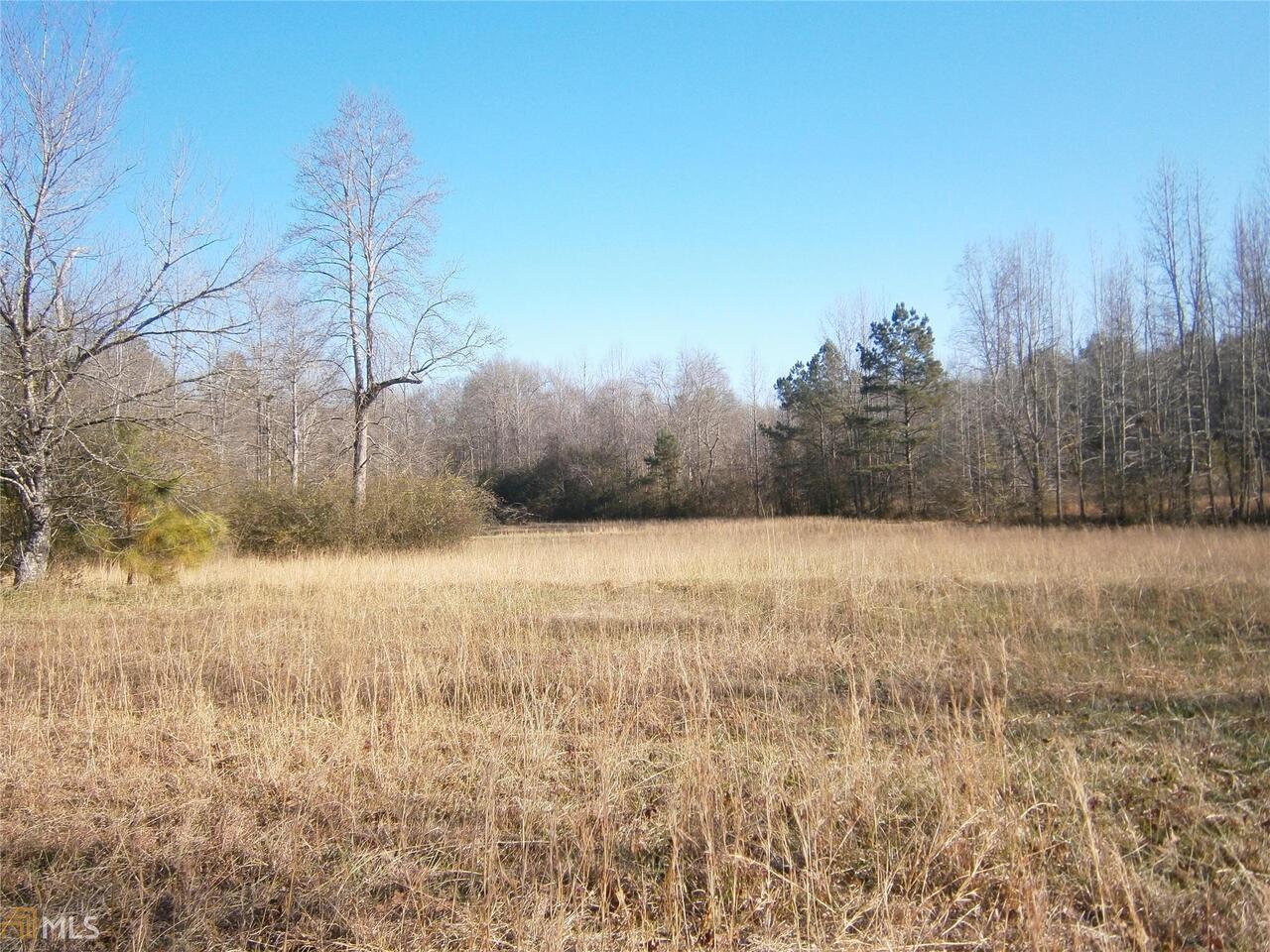 0 Moore Road Moreland, GA 30259 - Photo 1 of 1 Gallery Image 1