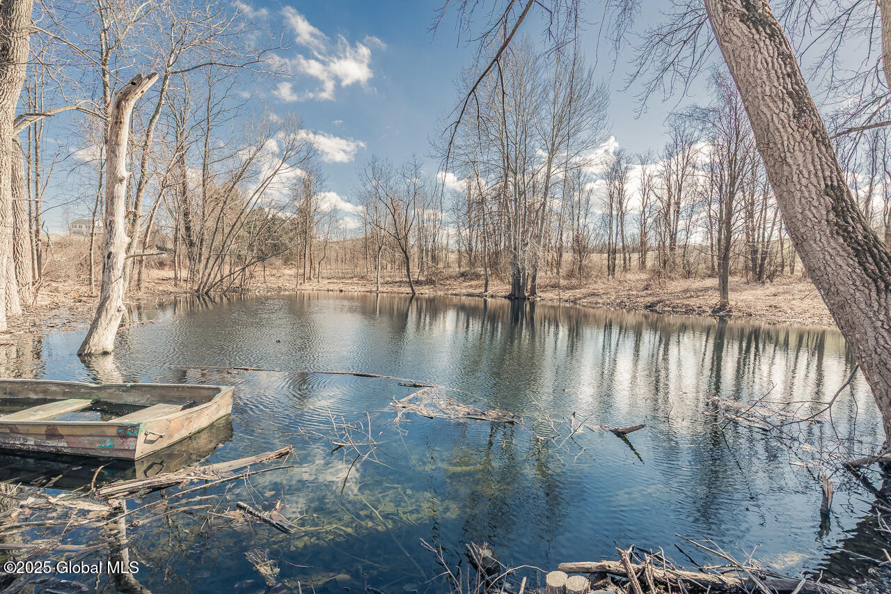 623 Belldons Road Florida, NY 12010 - Photo 9 of 98 MLS-102