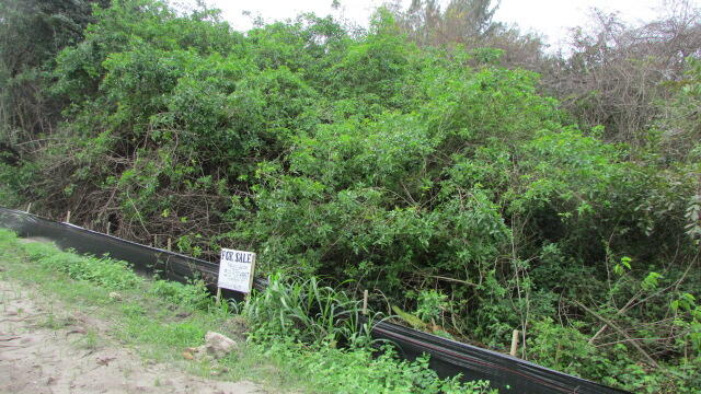 a view of a wooden fence and trees
