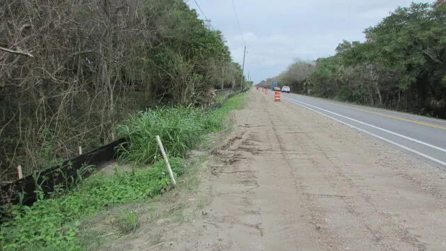 a view of a pathway with a park