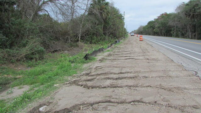 16750 Southwest Conners Highway Okeechobee, FL 34974 - Photo 4 of 4 a view of a yard with plants and trees