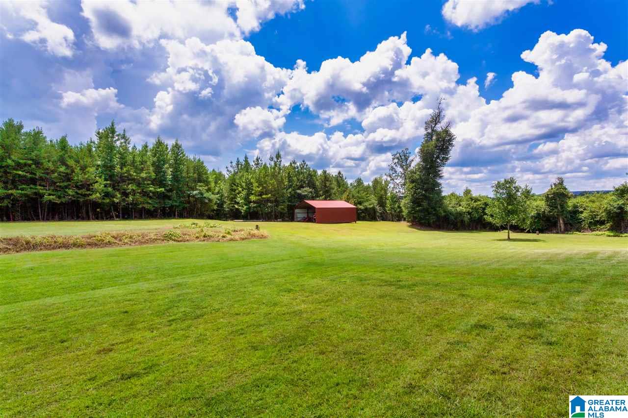 14183 Milldale Road Brookwood, AL 35444 - Photo 36 of 47