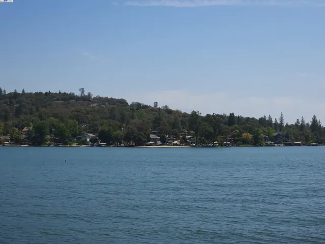 a view of a lake with boats and trees in the background