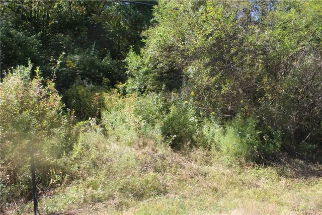 $149,000 | Trout Brook Road, Roscoe, NY 12776