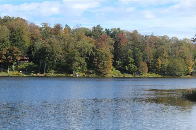 $149,000 | Trout Brook Road, Roscoe, NY 12776
