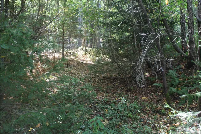 $149,000 | Trout Brook Road, Roscoe, NY 12776