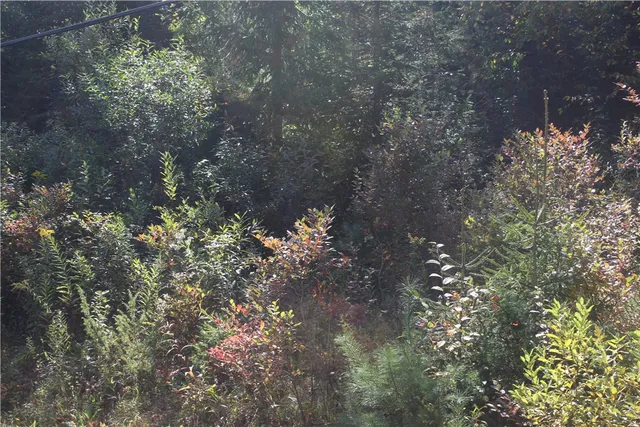 $149,000 | Trout Brook Road, Roscoe, NY 12776