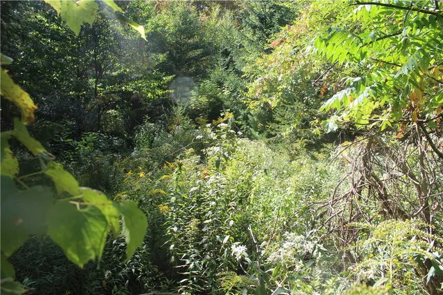 $149,000 | Trout Brook Road, Roscoe, NY 12776