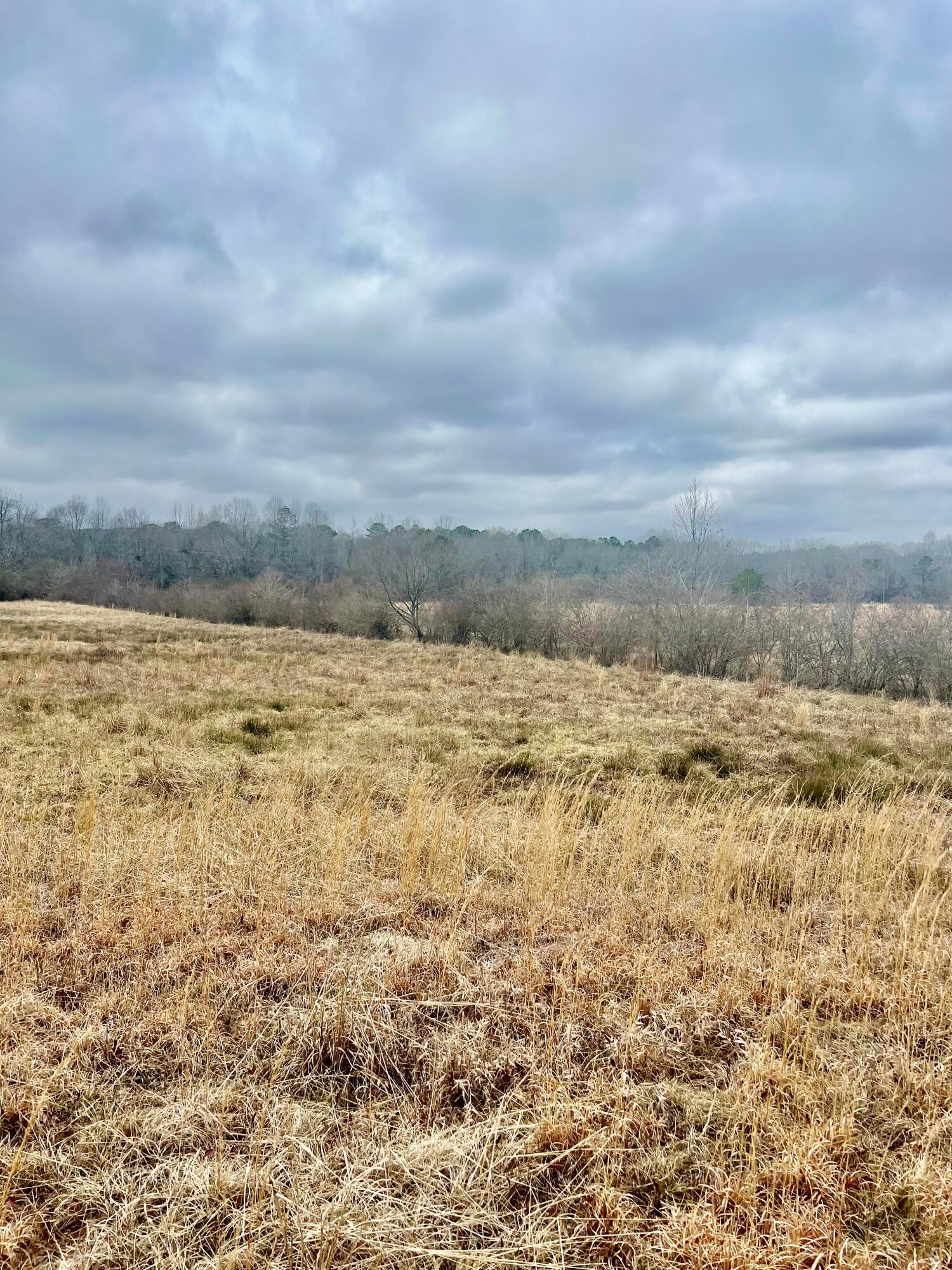 Trull Road Winfield, AL 35594 - Photo 9 of 24 Gallery Image 9
