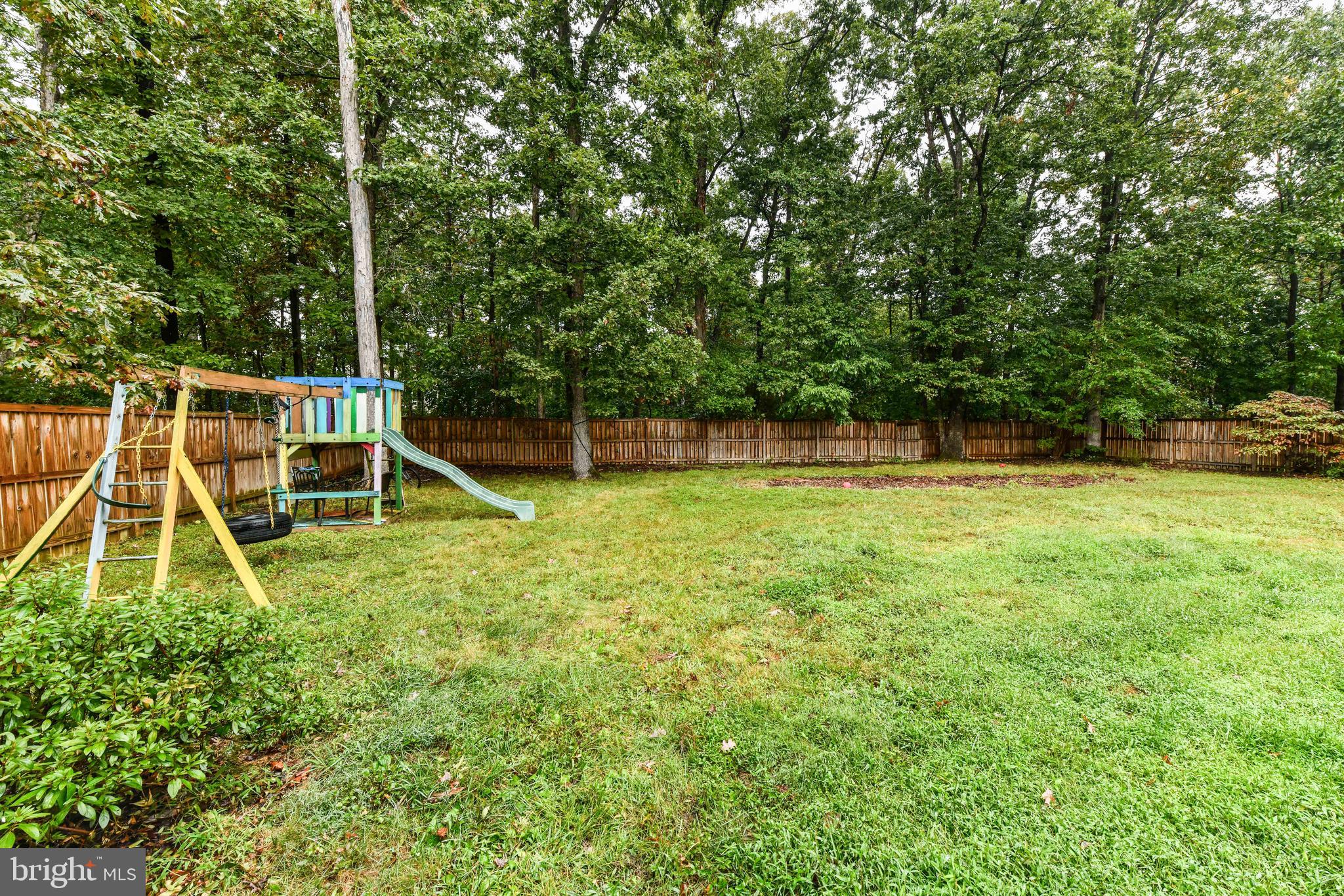 5500 Hampton Forest Way Clifton, VA 20124 - Photo 48 of 49 a view of a yard with a slide