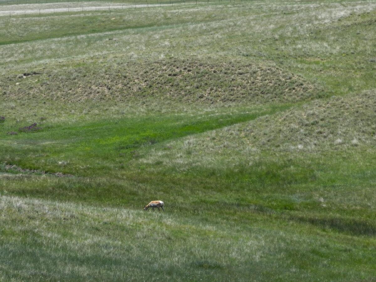 2 Trabing Road Buffalo, WY 82834 - Photo 14 of 21 14 copy