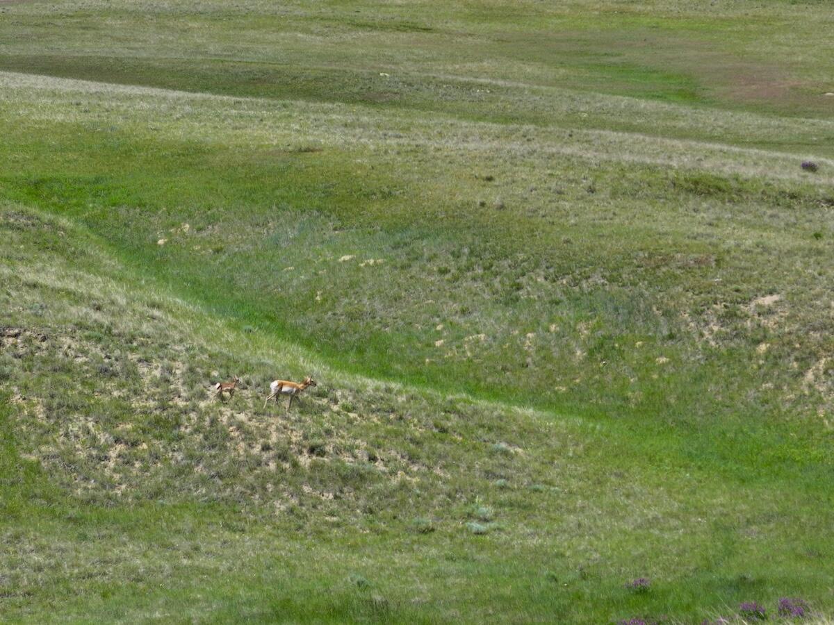 2 Trabing Road Buffalo, WY 82834 - Photo 17 of 21 17 copy