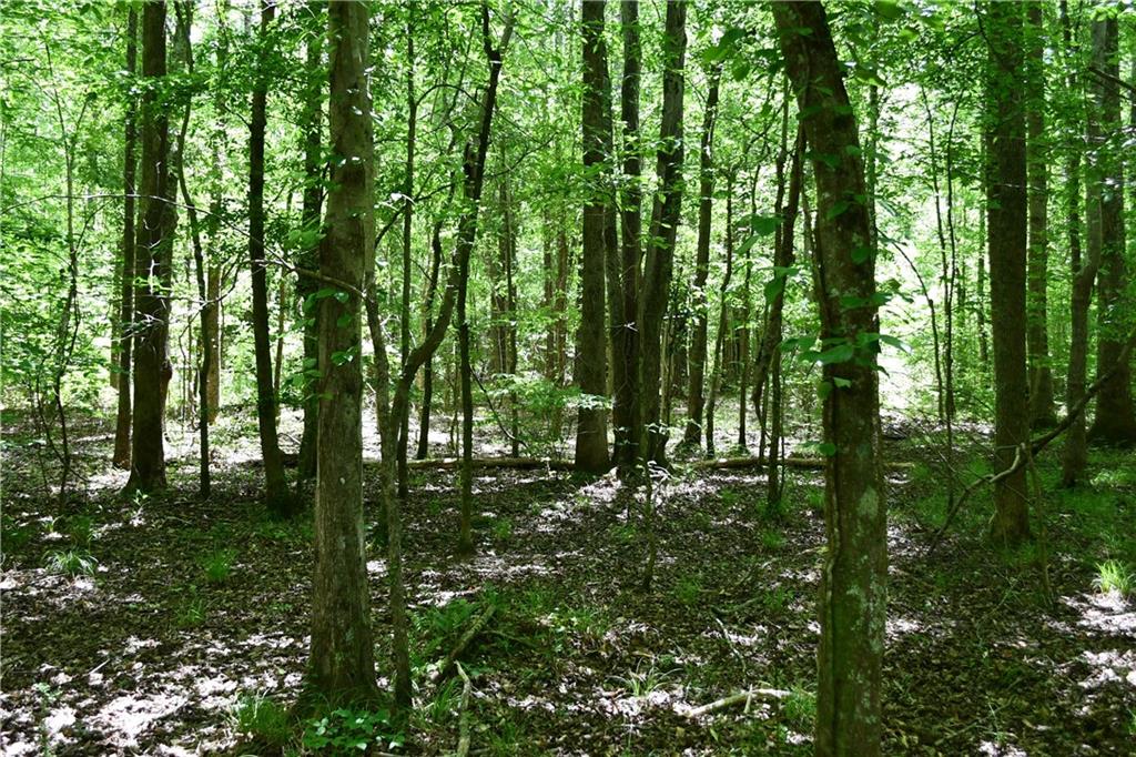 1 Wilson Road Temple, GA 30179 - Photo 21 of 88