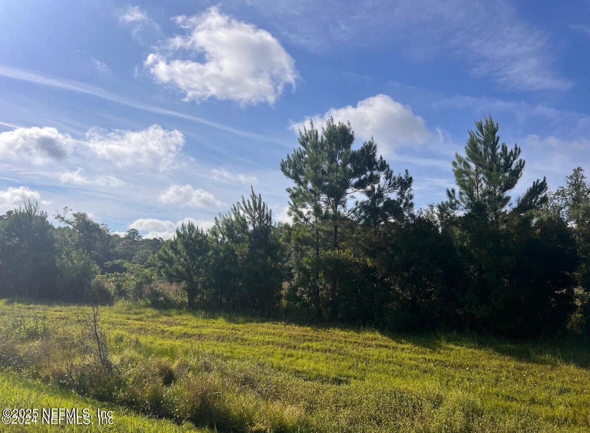 450592 Fl-200 Callahan, FL 32011 - Photo 2 of 4 IMG_9918