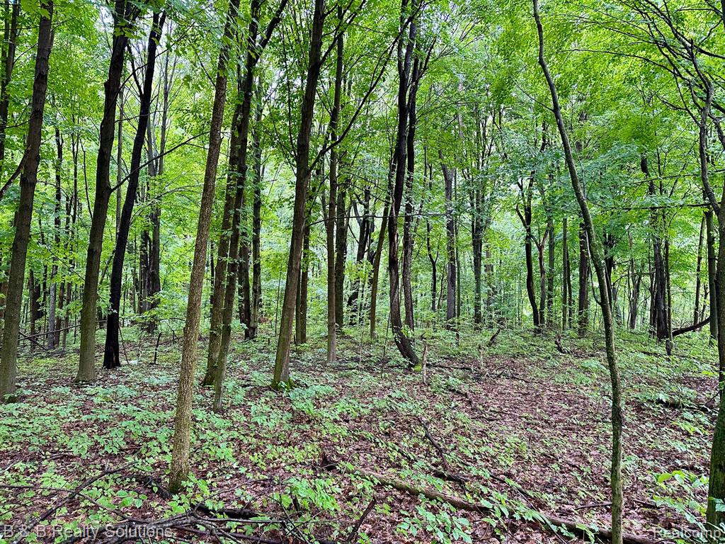 0 South Lake Pleasant Road Metamora, MI 48455 - Photo 6 of 32