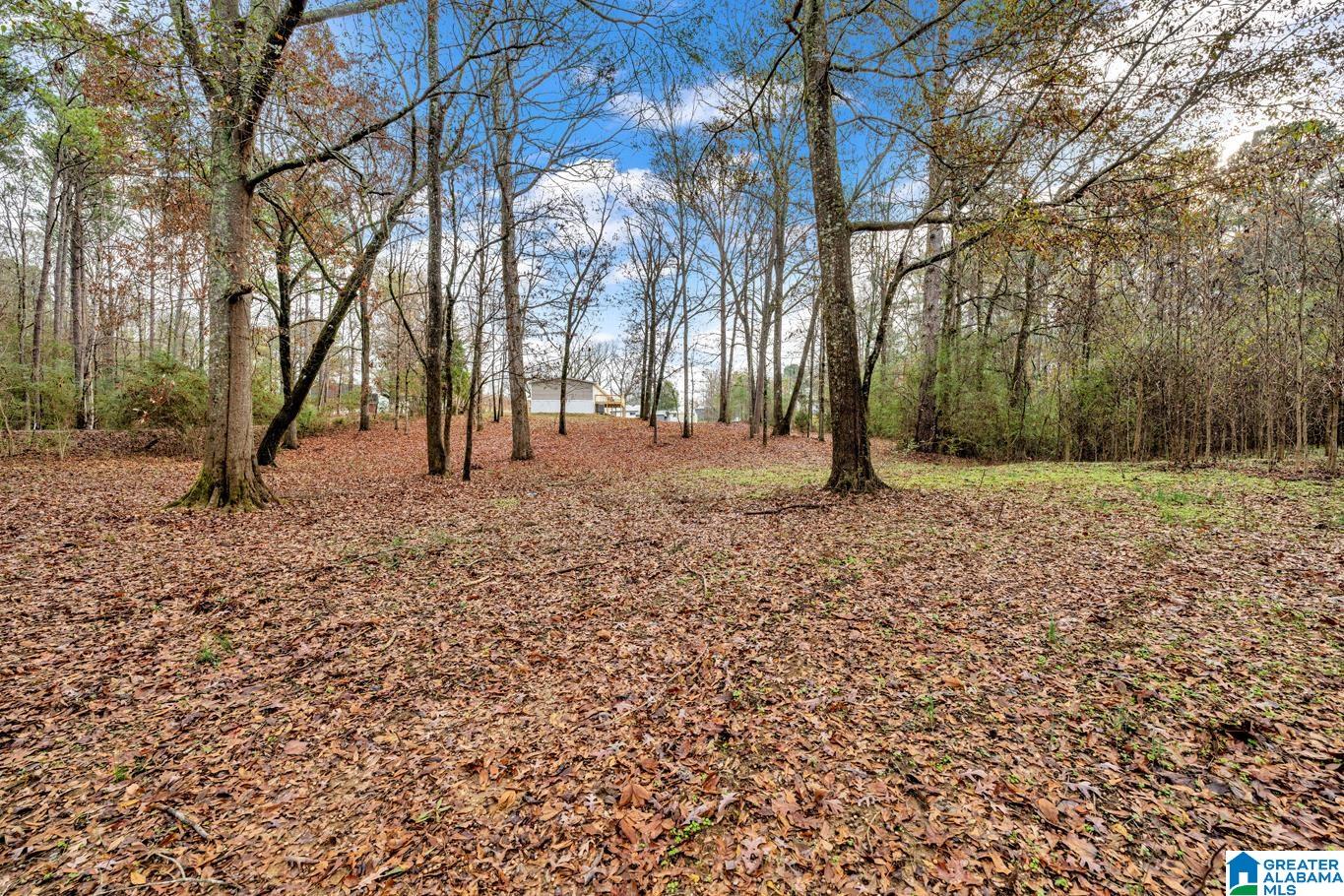 9722 Corner School Road Warrior, AL 35180 - Photo 32 of 43