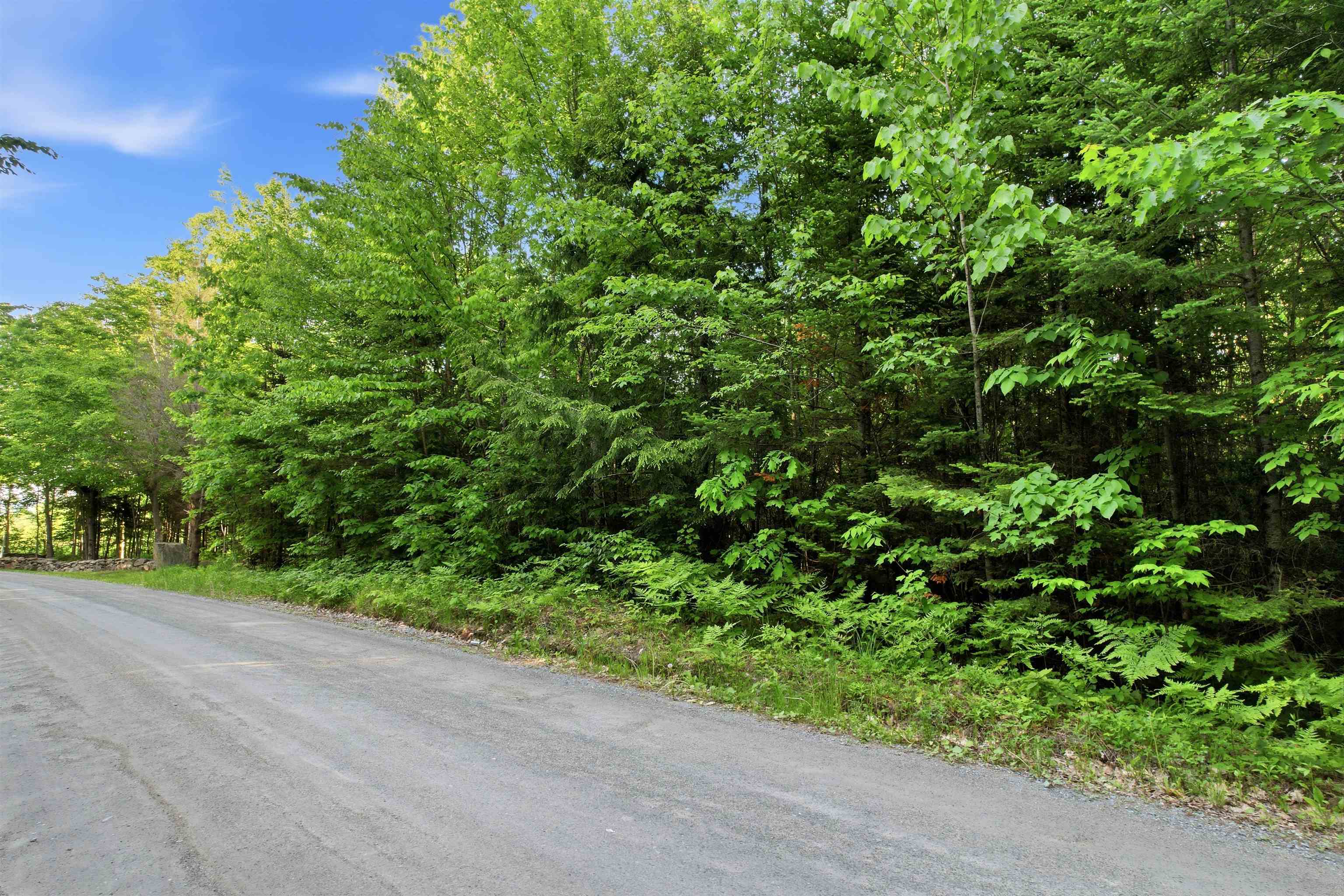 0 Porter Road Bath, NH 03740 - Photo 3 of 18