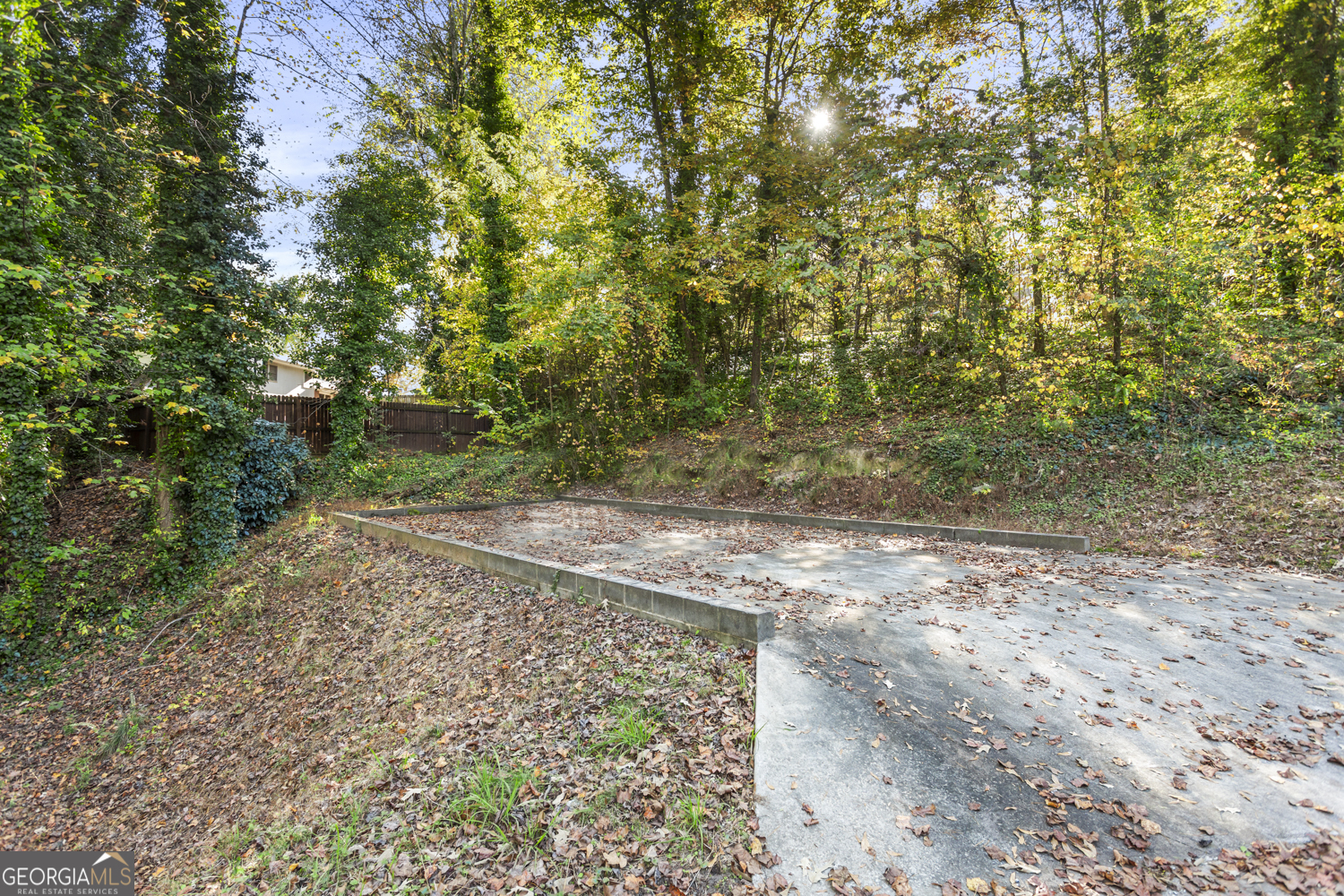 73 Ridgeview Heights Toccoa, GA 30577 - Photo 53 of 67 a view of a yard with plants and large trees