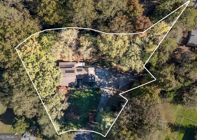 a view of a yard with plants and trees