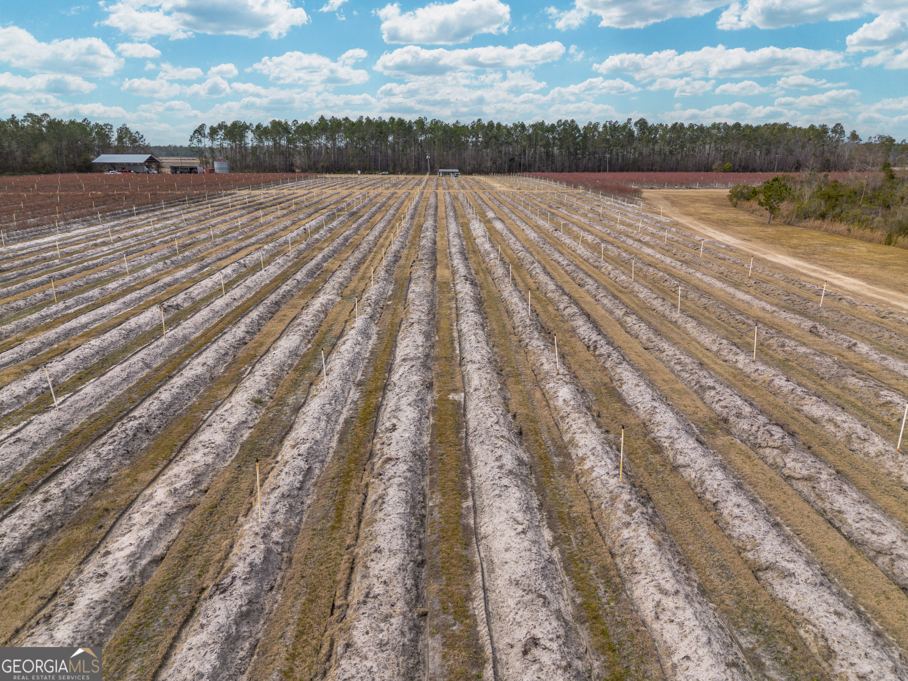 367 Whipporwill Road Nicholls, GA 31554 - Photo 11 of 36