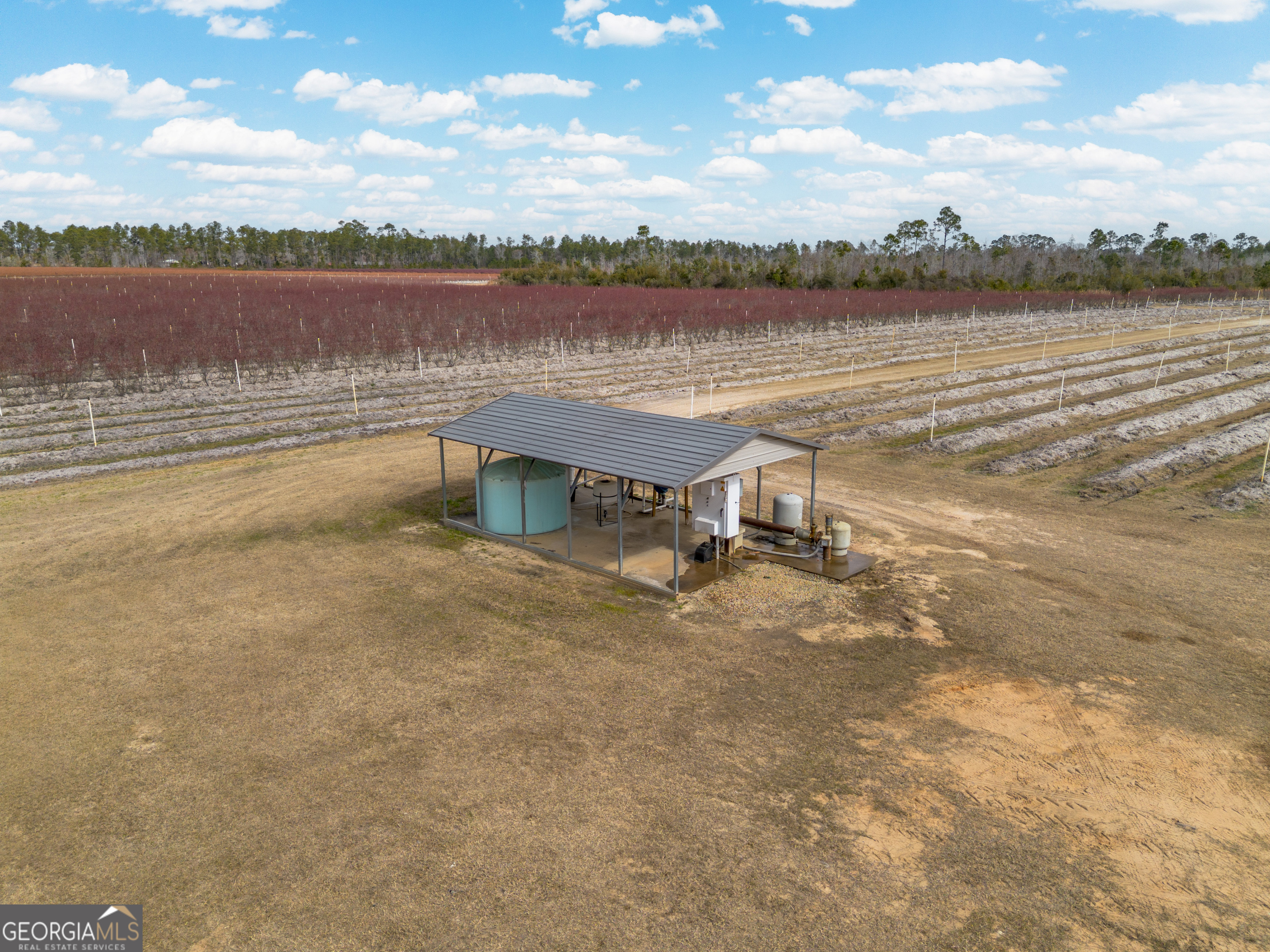 367 Whipporwill Road Nicholls, GA 31554 - Photo 12 of 36