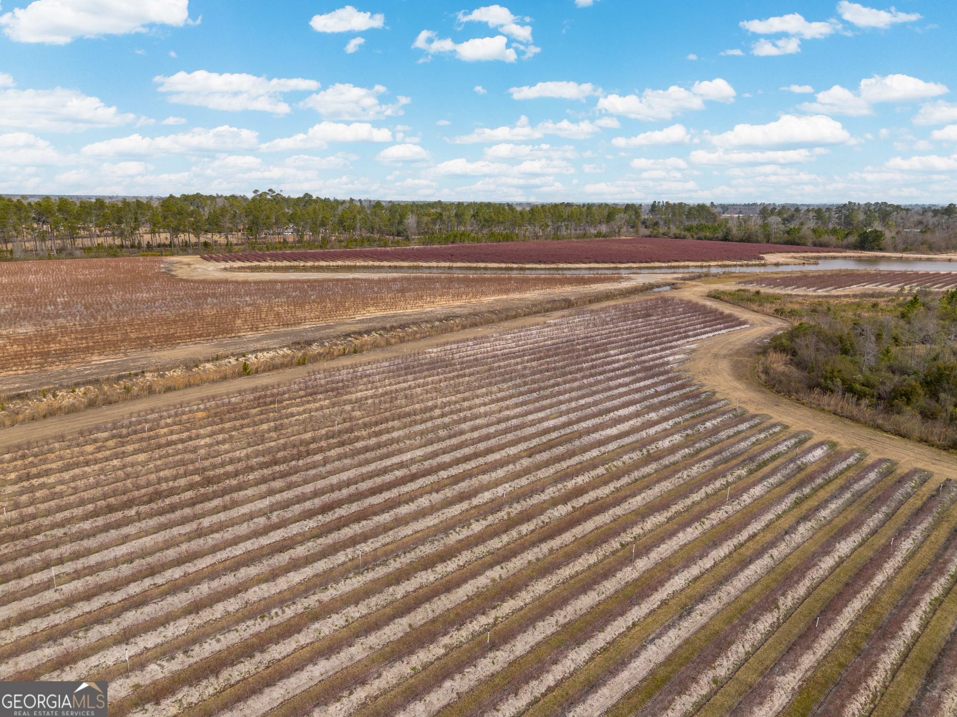 367 Whipporwill Road Nicholls, GA 31554 - Photo 13 of 36