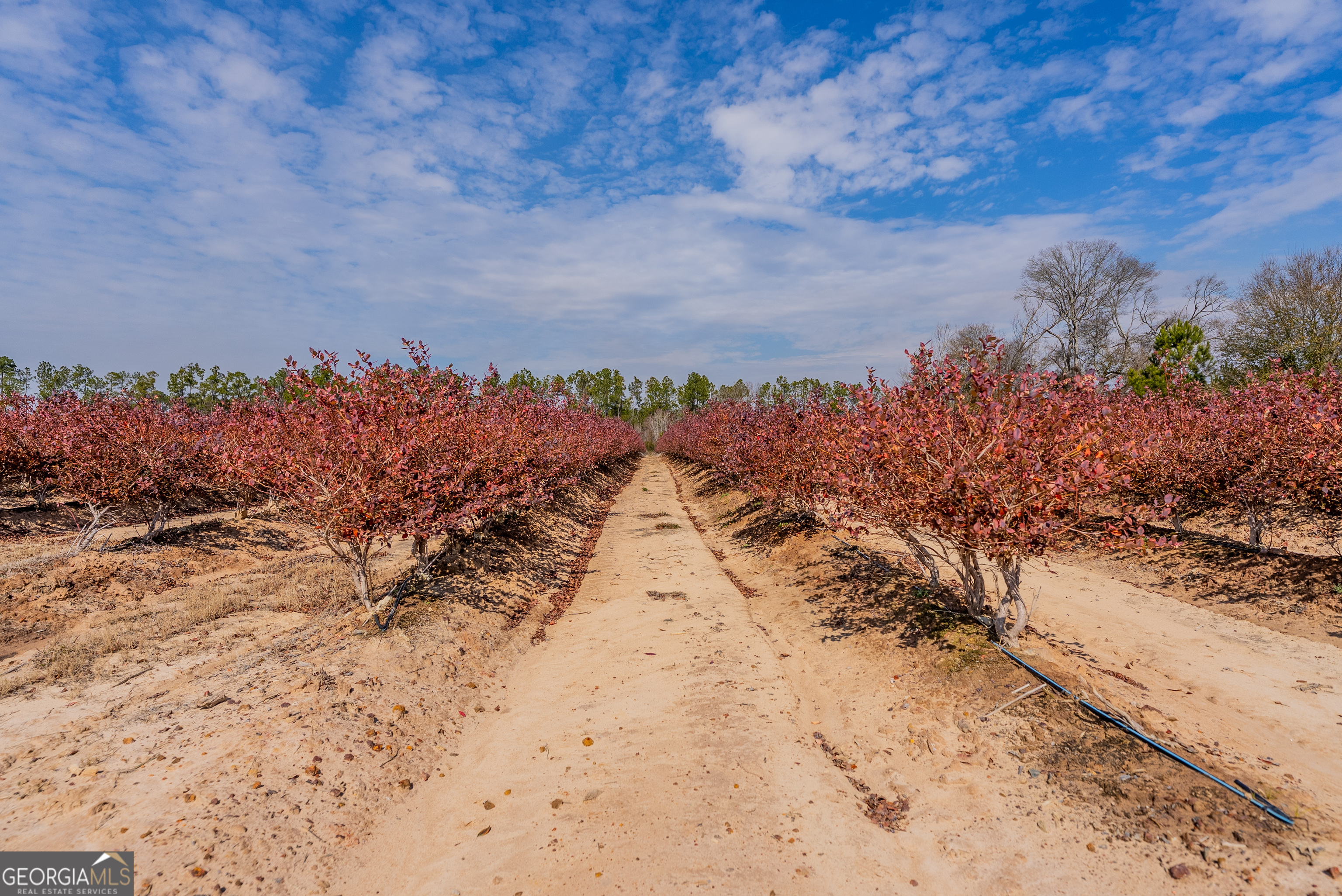 367 Whipporwill Road Nicholls, GA 31554 - Photo 27 of 36