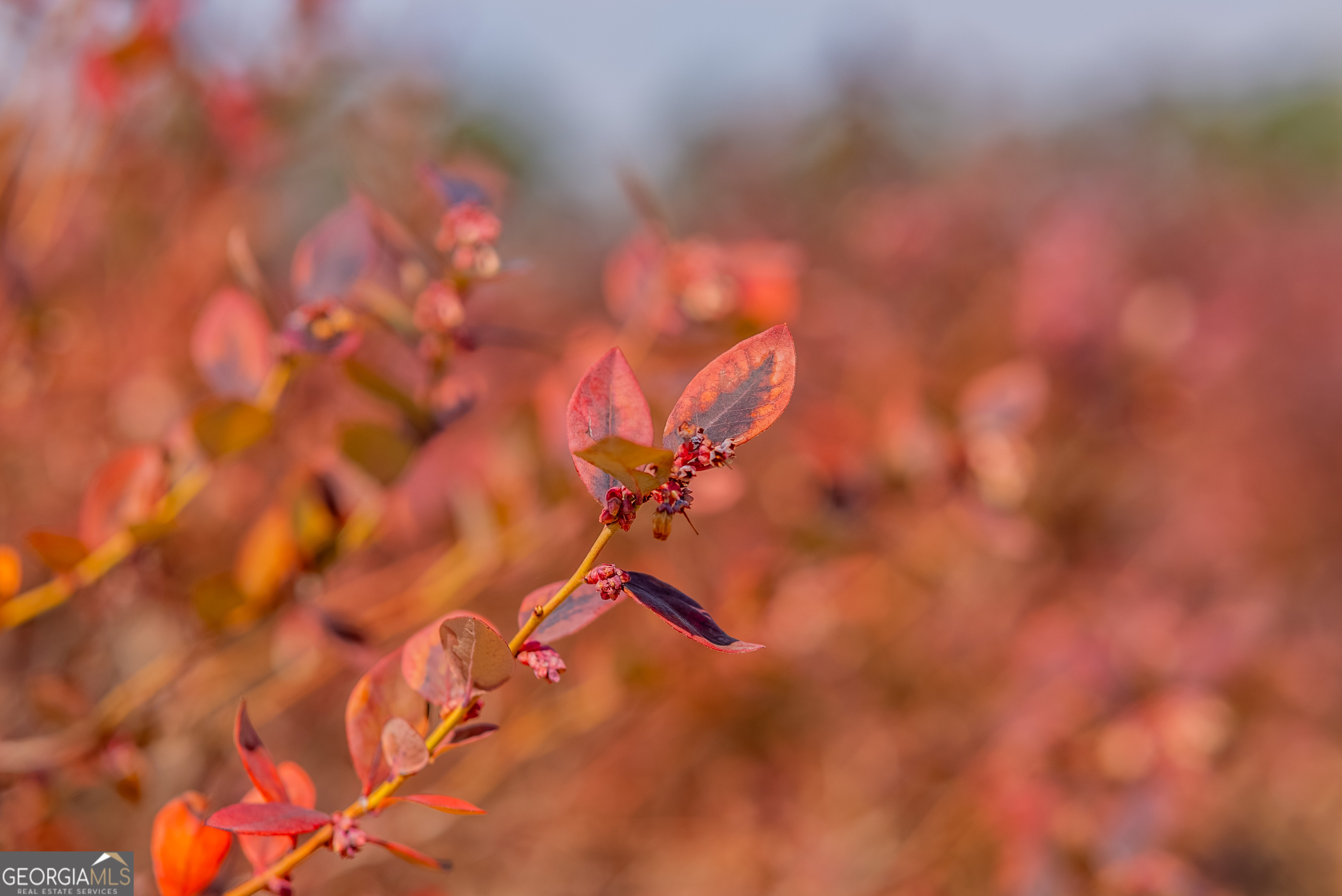 367 Whipporwill Road Nicholls, GA 31554 - Photo 30 of 36