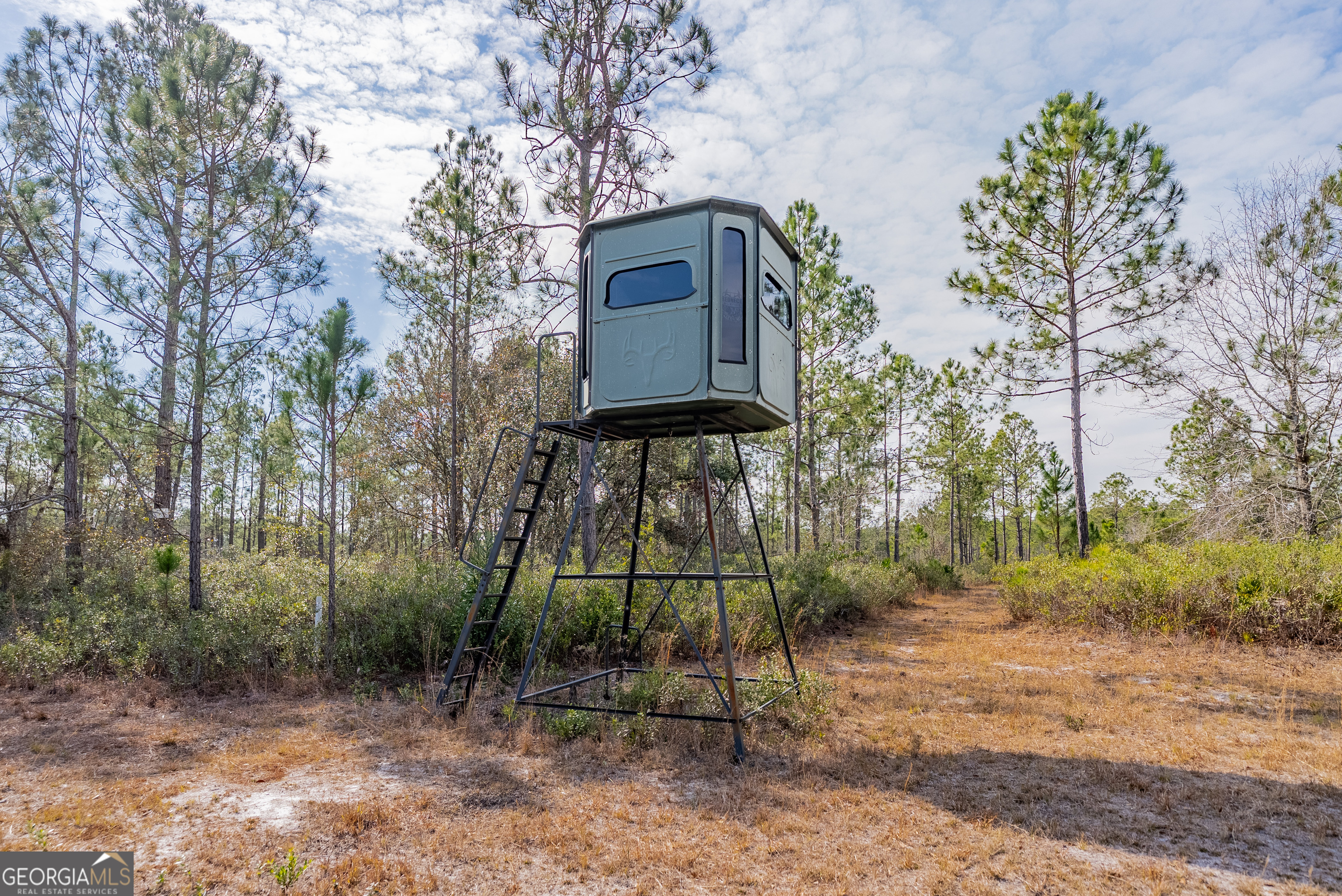 367 Whipporwill Road Nicholls, GA 31554 - Photo 33 of 36