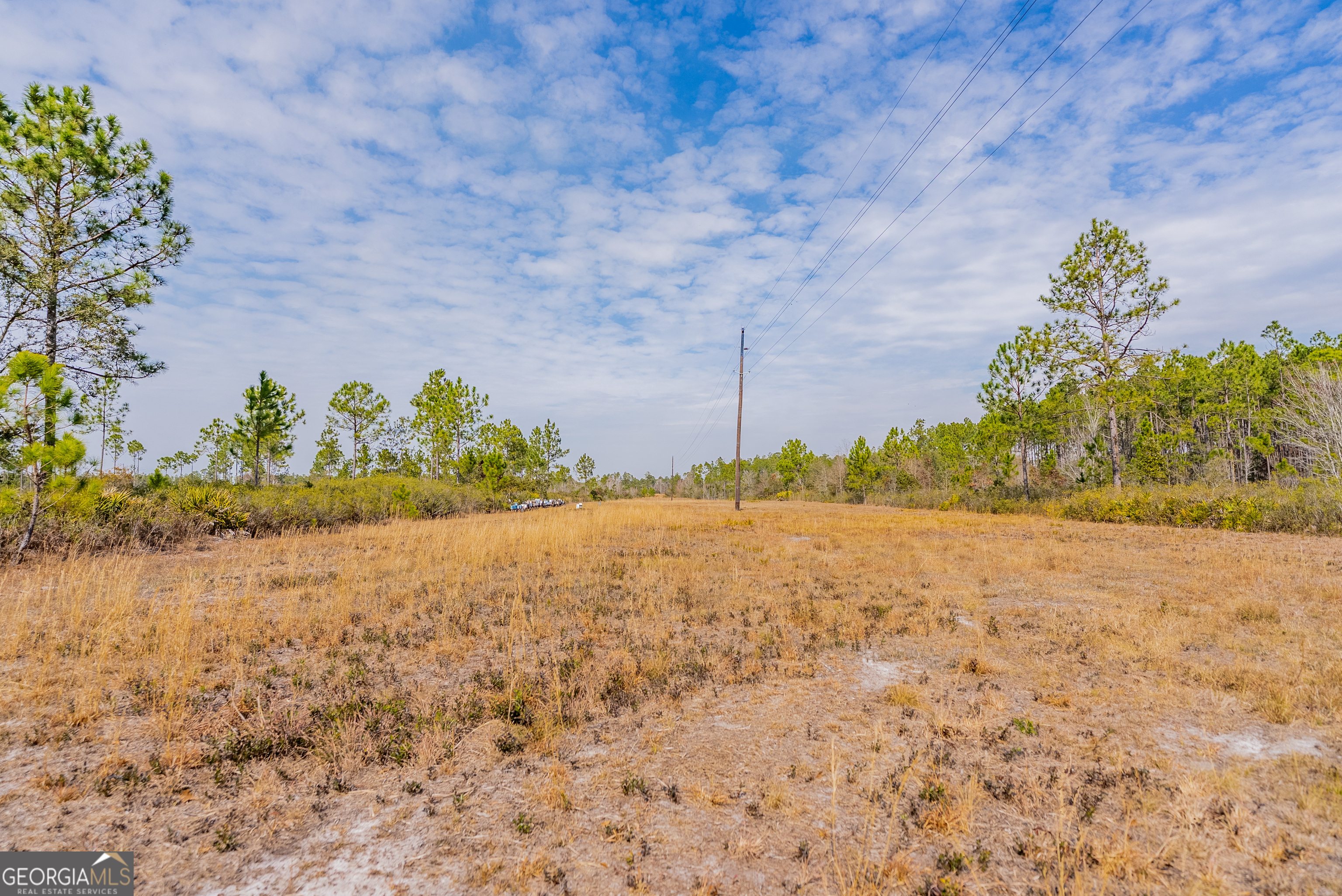 367 Whipporwill Road Nicholls, GA 31554 - Photo 34 of 36