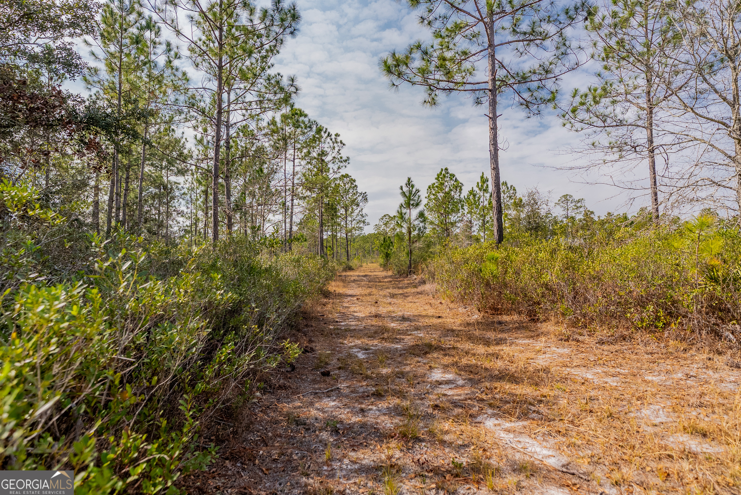 367 Whipporwill Road Nicholls, GA 31554 - Photo 35 of 36