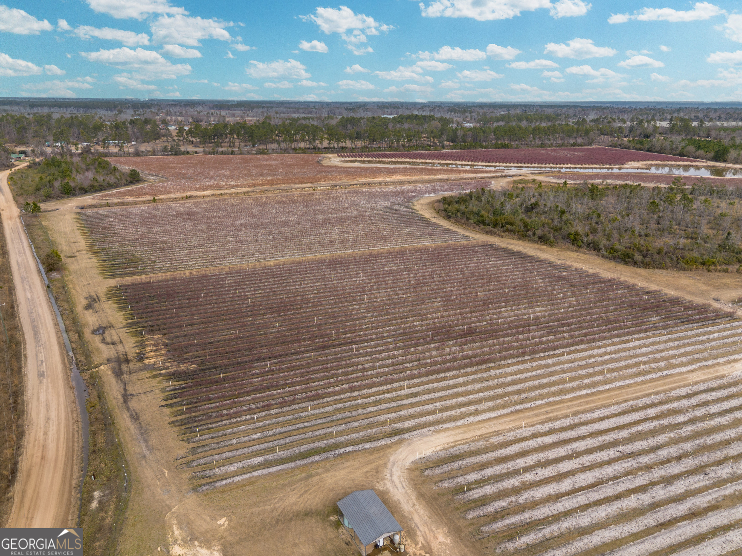 367 Whipporwill Road Nicholls, GA 31554 - Photo 4 of 36